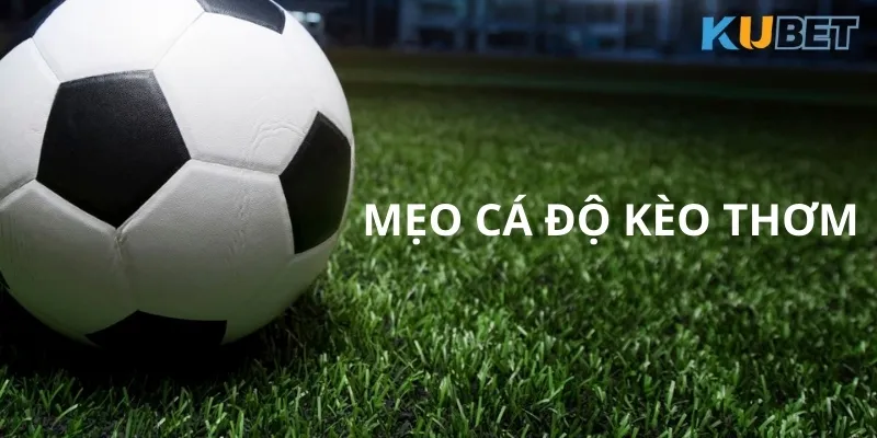mẹo kèo thơm cá độ